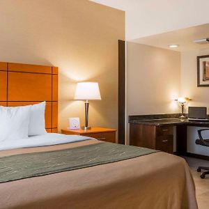Executive King Room